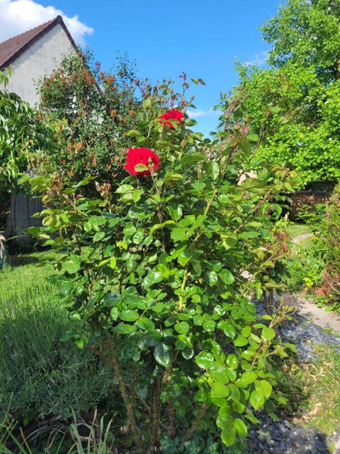 Cosy Room + Breakfast 20 Mn From Epernay Blancs-Coteaux Exterior foto